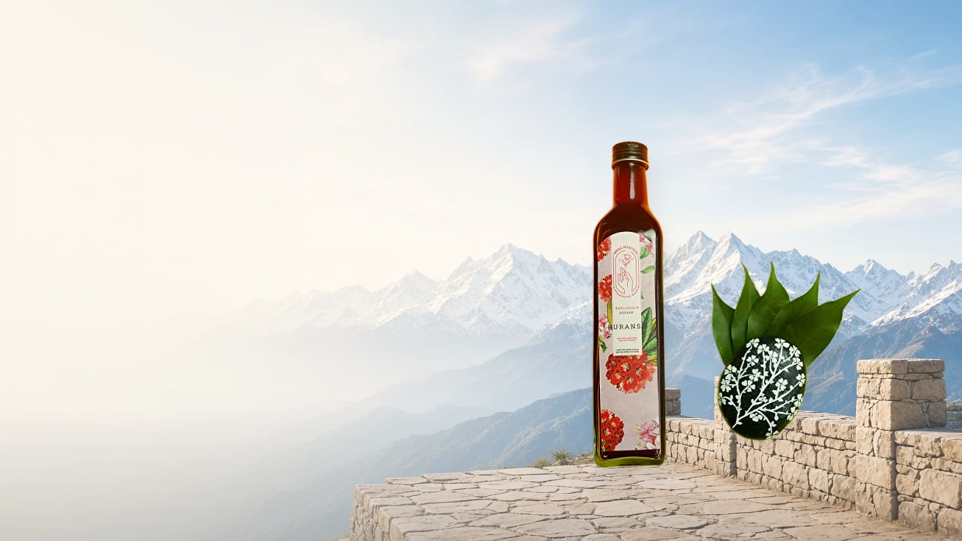 Buransh Himalayan Squash on Himalayan mountain backdrop